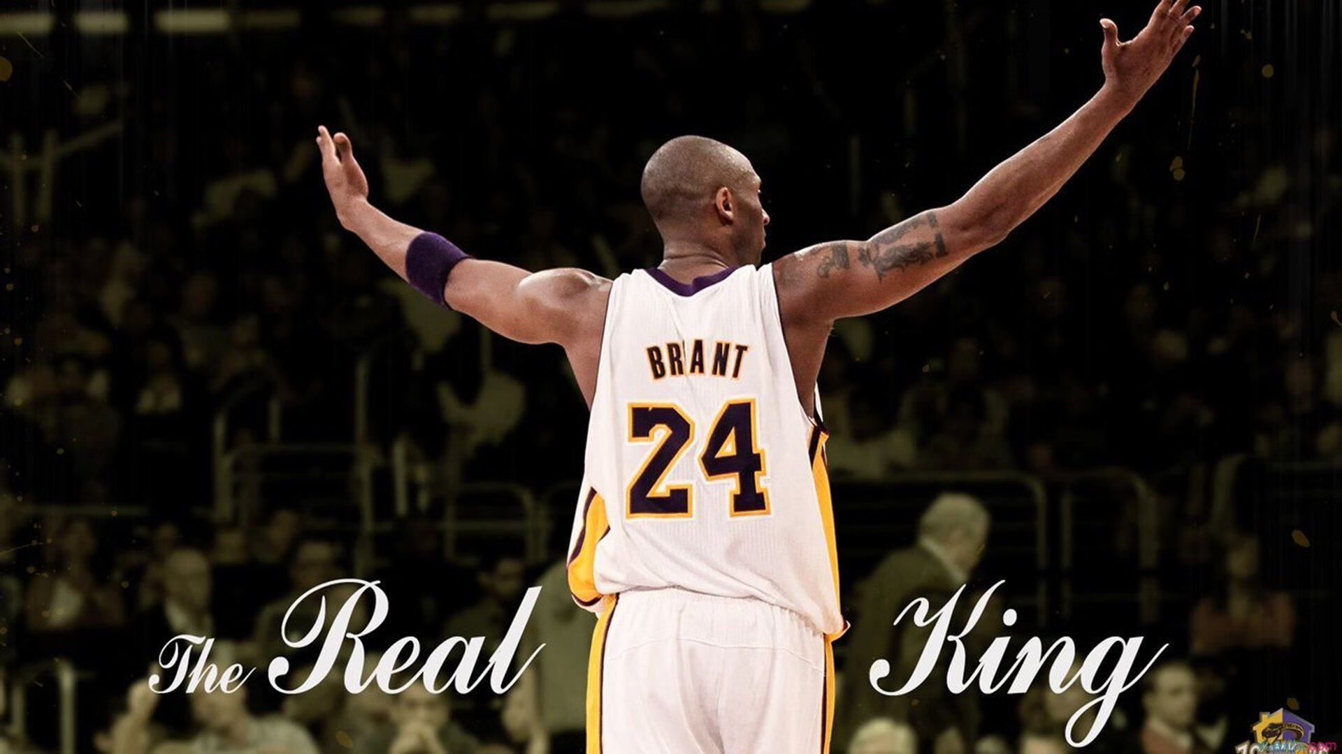 中国篮球梦想照亮世界舞台,中国篮球主题曲