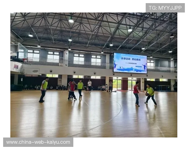篮球联赛推广少年篮球入校园项目，篮球推广方案