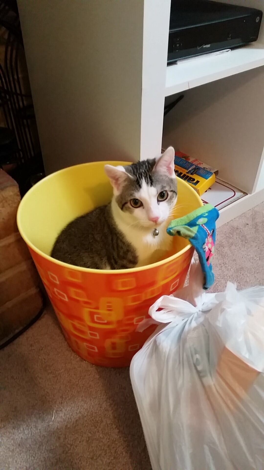 季后赛防守最难被攻破的防线揭秘,季后赛打什么