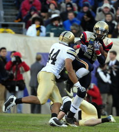 开云体育登录-自由泳中立代表队A选手挑战极限，自由泳中级提高视频