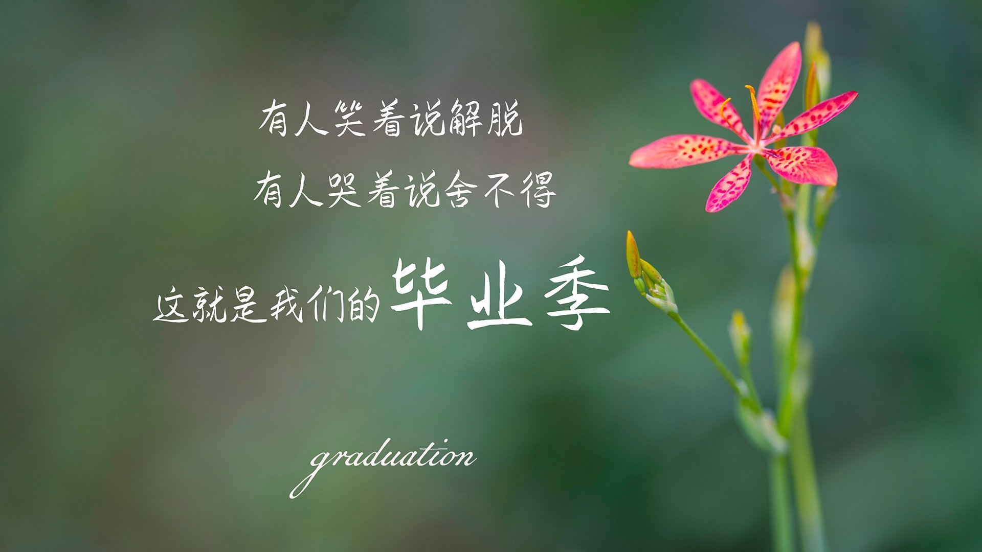 开云在线登入-英超快节奏攻防：战术变换中不断带来惊喜，英超 节奏快