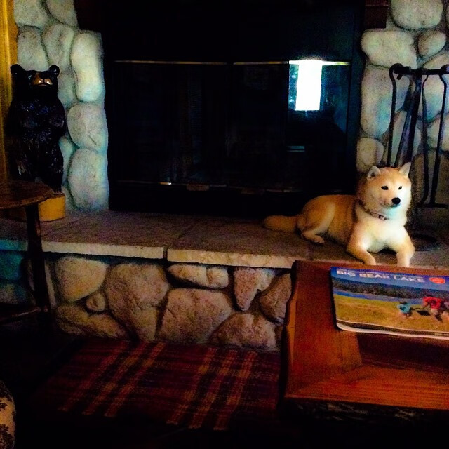 英超绝杀瞬间:终场哨声前的奇迹出现,英超压哨转会