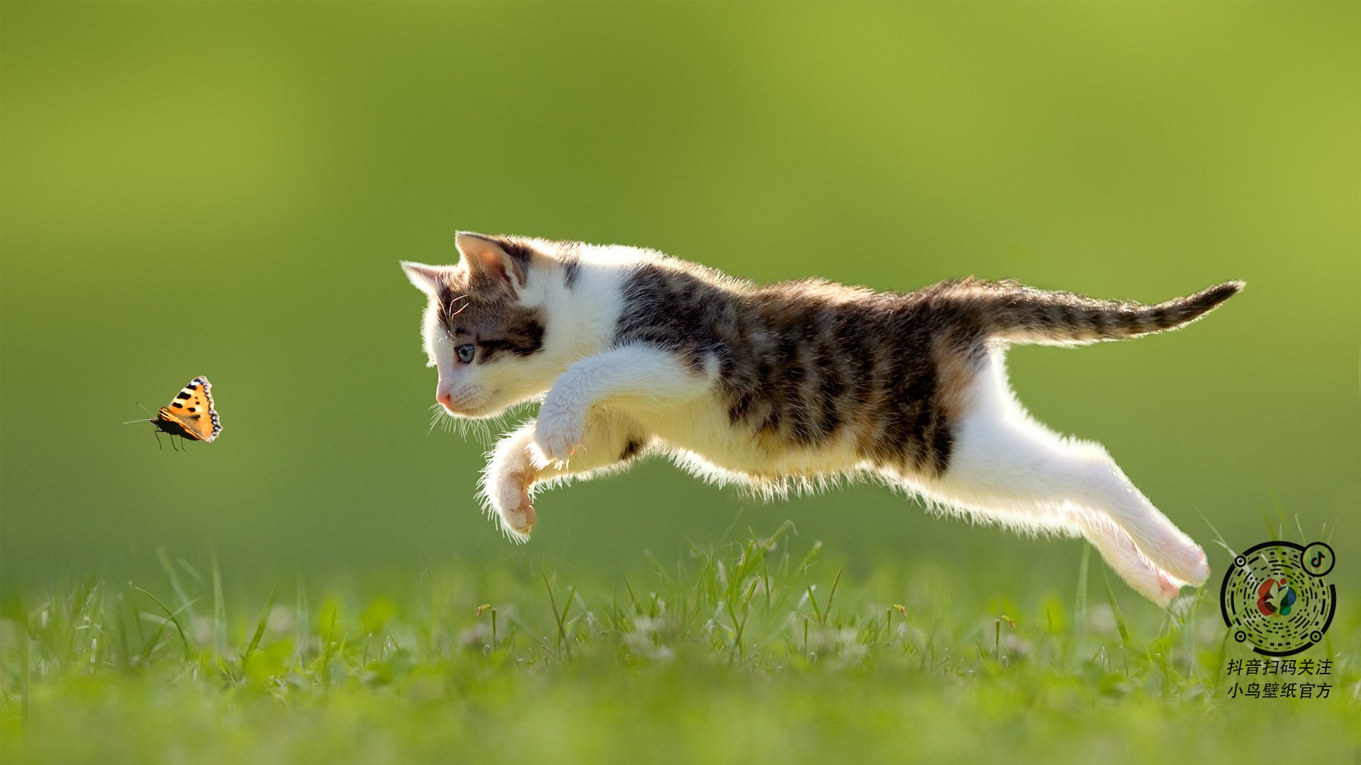 开云ky官网-足球文化进校园项目拓展至偏远山区推动均衡发展，学校足球文化